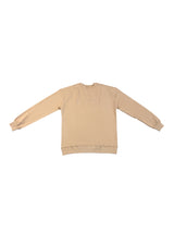 Sweatshirt Stone
