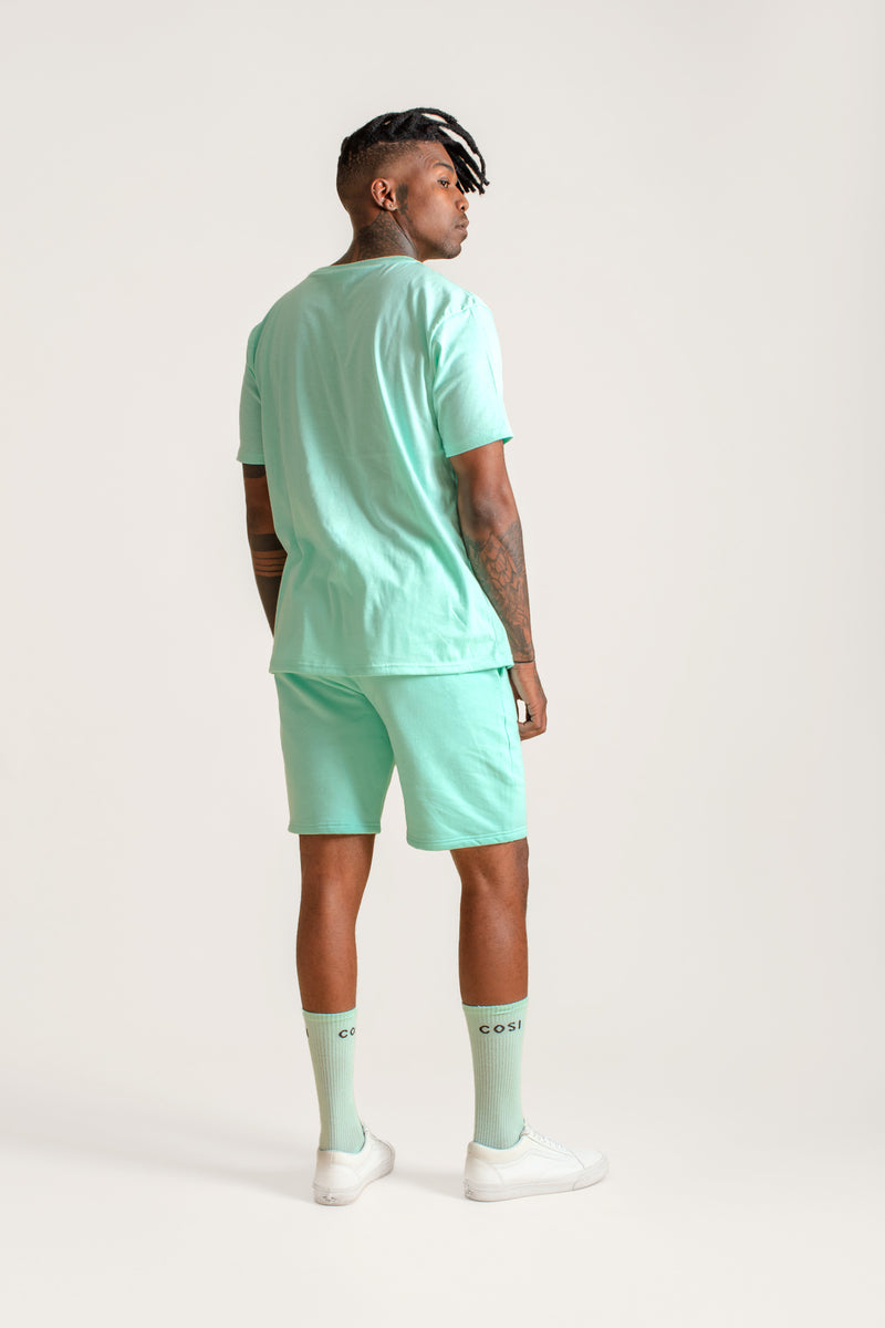 Long Shorts Mint